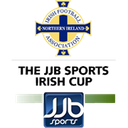 Northern Ireland Shield Cup
