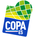 Copa Espírito Santo