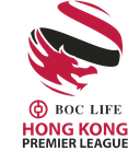 CHN HK Premier League Cup