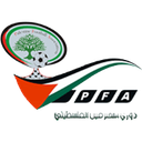 Palestine National League