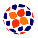 Portugal Campeonato Nacional Feminino