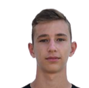 Lovro Zvonarek