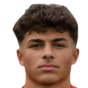 Luis Puleri