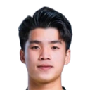 Ho Tung Han