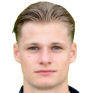 X. van den Berg