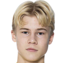Theo Bergvall
