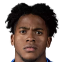 Exon Arzú