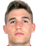 Michele Voltan
