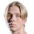 willem haapiainen