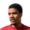 Nélson Henrique Machado da Silva