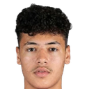 Ali Nader Mahmoud