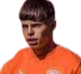 Tomas roco