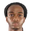 Trey Kongolo