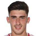 Vassilis Sourlis