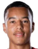 Hugo Garie