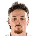 Dyson clapier