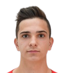Viktor Kanizaj