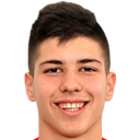Milan Vukotic