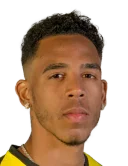 Pedro Vitor Ferreira da Silva