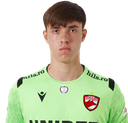 Aleksander Mitrovic