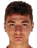 Andrei dumitru