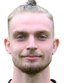 Bradley·Fink