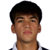 Nicolás Vargas