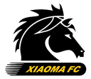 Wuhan Xiaoma