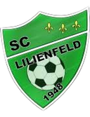SC Lilienfeld Youth