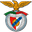 Benfica Castelo Branco