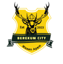 Berekum City