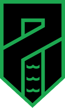 Pordenone Calcio SSD