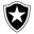 Botafogo RJ Youth