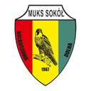 Sokol Kolbuszowa Dolna (nữ)