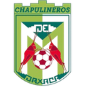 Chapulineros de Oaxaca II