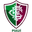 Fluminense PI Youth