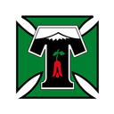 Deportes Temuco (nữ)