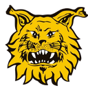FC Ilves U21