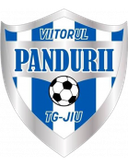 ACS Viitorul Tg