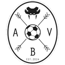 Aarhus Black Vipers