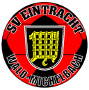 SV Eintracht Wald-Michelbach