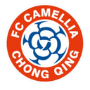 Chongqing Dikai