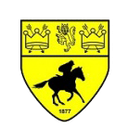 Newmarket Town