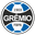 Gremio Youth