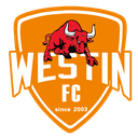 Foshan Sports (nữ)