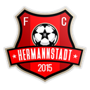 AFC Hermannstadt