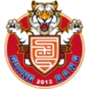 Guangdong Southern Tigers(2012-2020)
