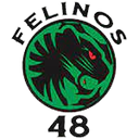 Felinos 48 AC