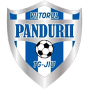 ACS Viitorul Pandurii Targu Jiu