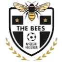 The Bees FC